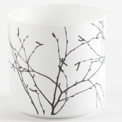 Teelicht BRIGHT BUSH